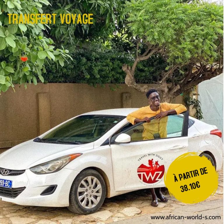 transfert voyage VIP-TWZ
